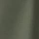 Mist Green