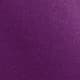 Bold Plum