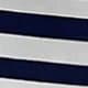 Blue and White