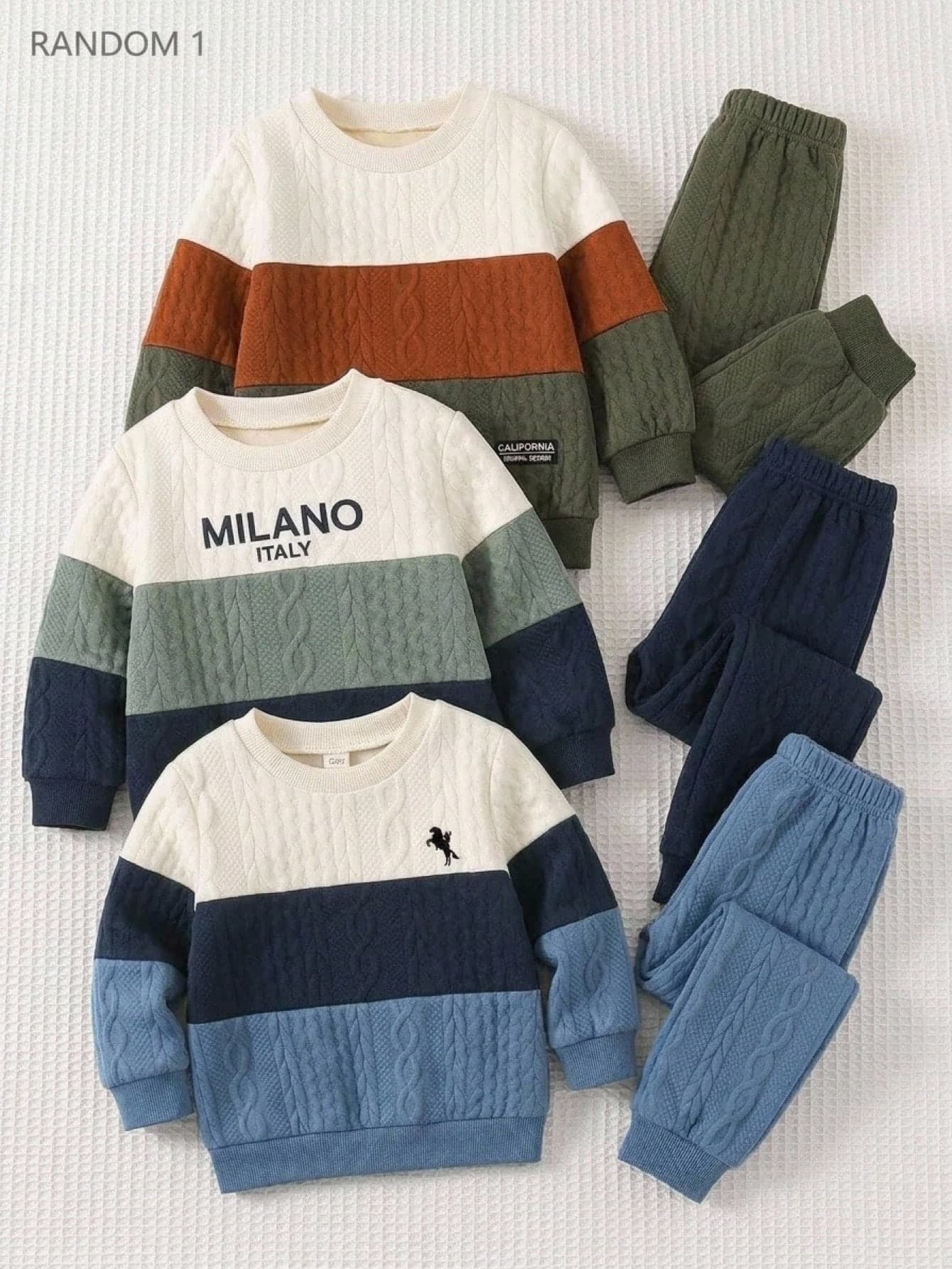 SHEIN Kids Baby Boy Woven Label Color-Blocked Crew Neck Long-Sleeved Pullover Autumn Sweatshirt In Textured Fabric. Versatile And Comfortable,Back To School