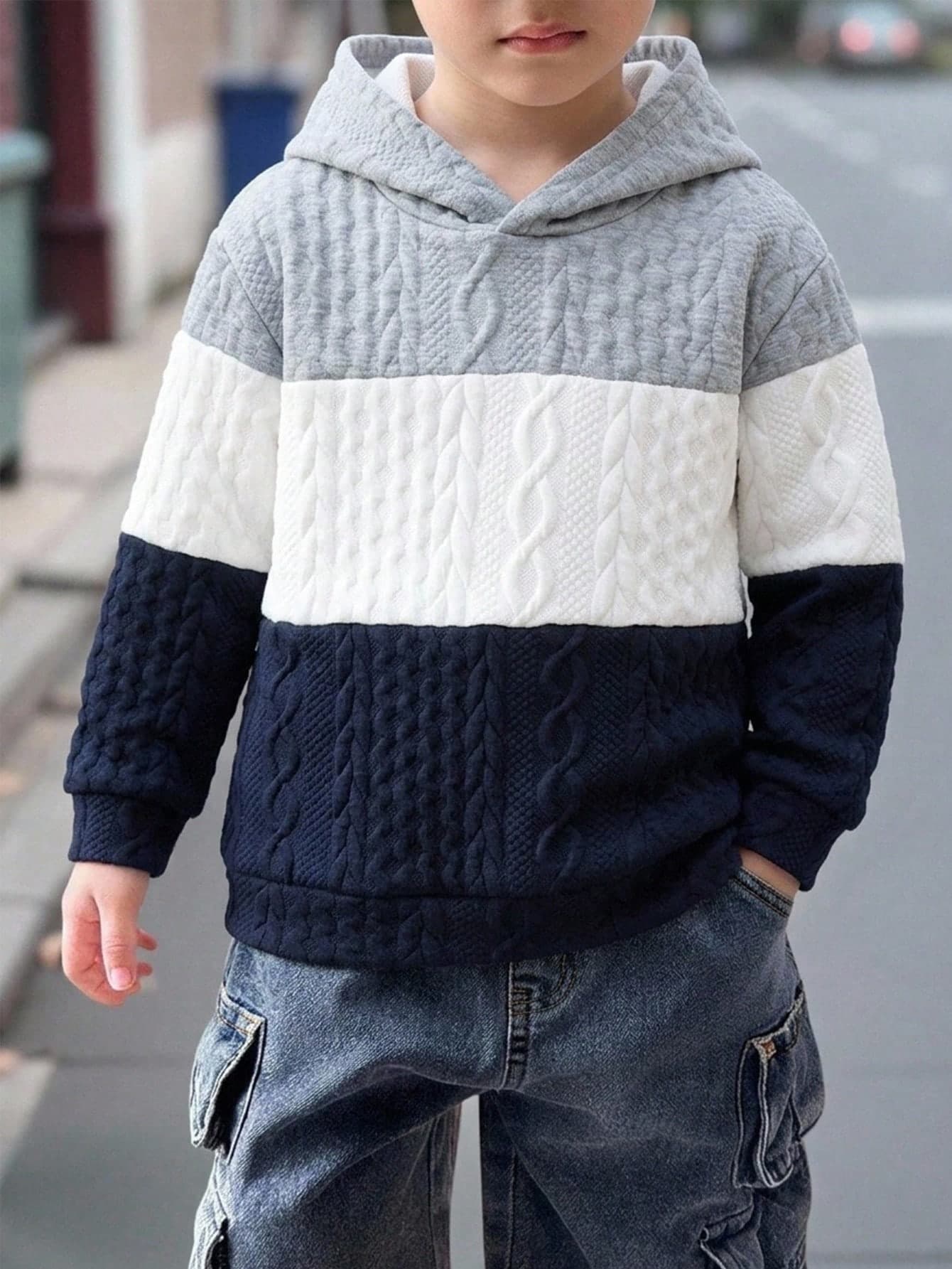 SHEIN Kids Young Boy Hooded Colorblock Casual Daily Long Sleeve Autumn Winter Sweatshirt