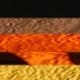 5 Pieces (multi-color)