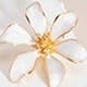 White Six-leaf Flower