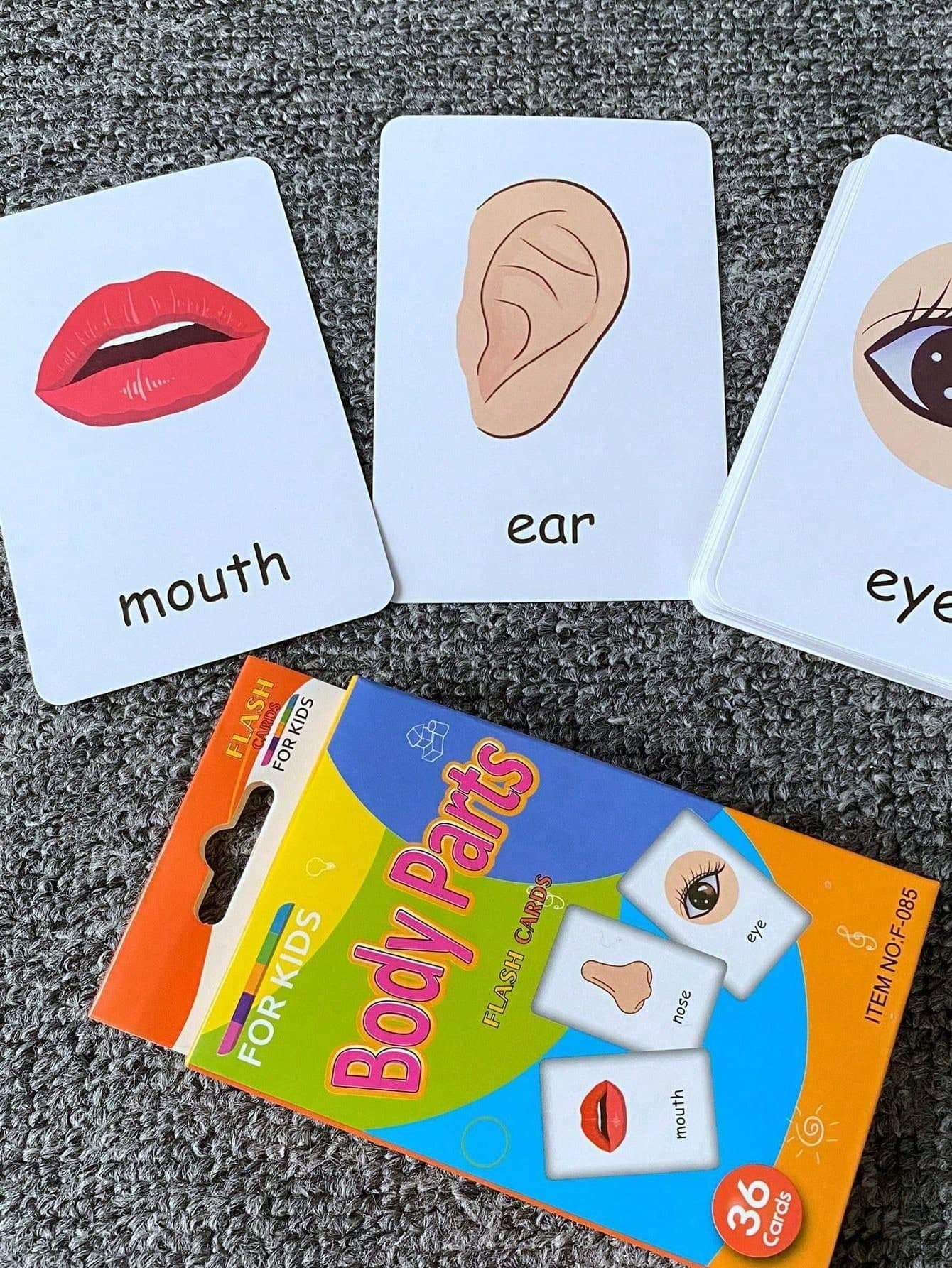 36pcs/Set Early Learning English Word Recognition Educational Flash Cards, Including Color, Time, Shape, Animal, Fruit, Vegetable, Face Parts, Food, Colorful Flashcards Visual Education Tool For School, Student, Stationery, School Supplies, Back To School, Christmas Gift, Family Education Tool