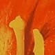 Rouge et jaune