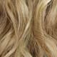 Blonde Highlight
