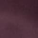 Prune