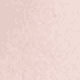 Champagne