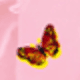 Pink Butterfly NPSM20