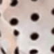 Small Polka Dot Scarf
