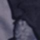Purple Gray