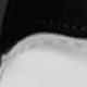 blanc et noir