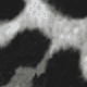 Black and Gray