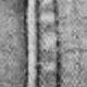 Gris pâle