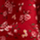 Red Cashew Nuts
