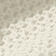 White Daisy