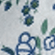 Light Blue Cashews