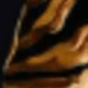 Doré