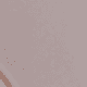Gray Beige