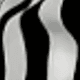 Black and White