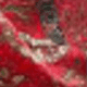 Large Red Cashew Nuts