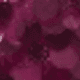 Red Plum