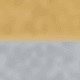 Gold + Silver