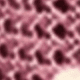 Red Violet