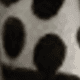 Black Rice Dots