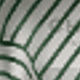 Green Lines