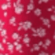 Rose vif