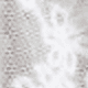 White - 115