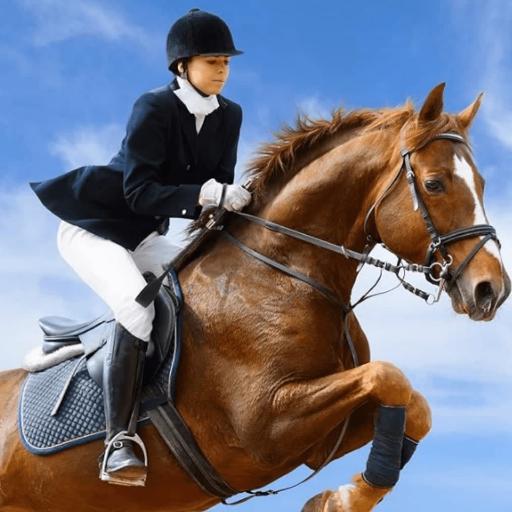 1pc/Piece 63cm Equestrian Whip With Non-Slip Handle, English Riding Aid Tool, Synthetic Leather Material, Good Flexibility, Suitable For All Riders, Industrial, Whipping, Horse, Knight Title, Whipping > Abuse, Outdoor Games
